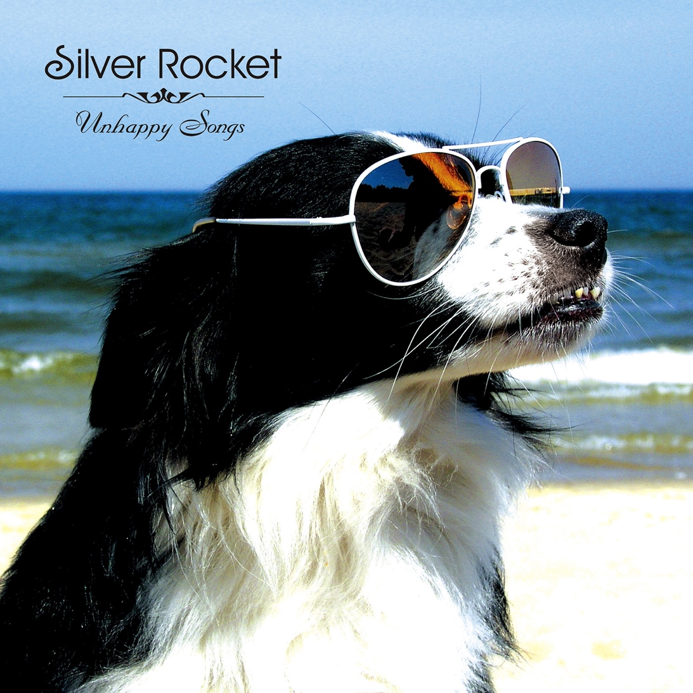 Okladka Unhappy Songs: pies w okularach aviatorach na plazy